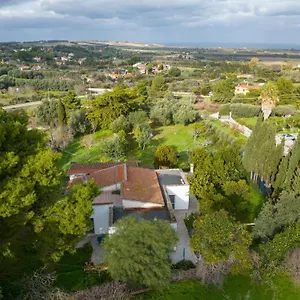 Filoxenia Di Umberto , Sassari Italia